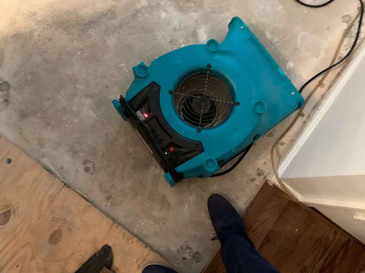 Air mover drying subfloor during Commercial Water Damage Restoration in Eldridge